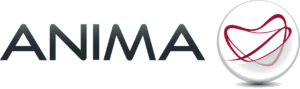 Anima Holding
