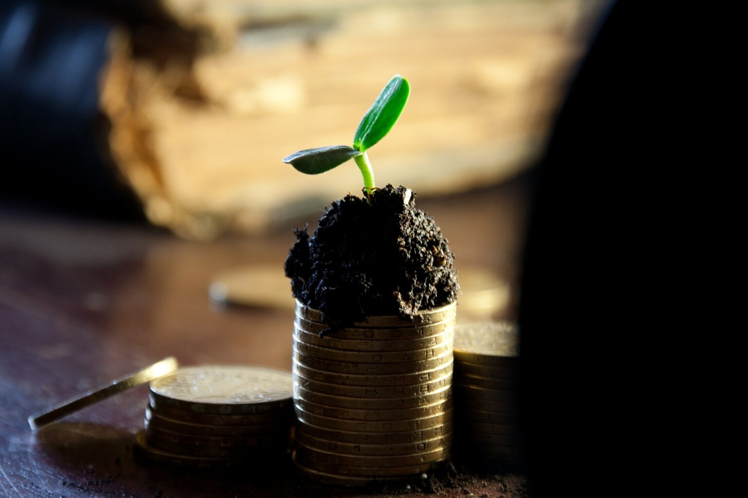 Scrip Dividend